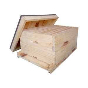 bee hive box